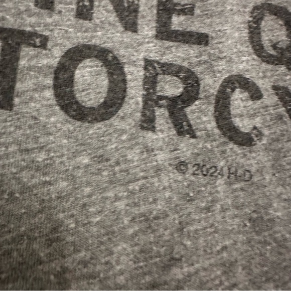 Harley-Davidson Gray Men's T-Shirt Indianapolis Indy 500 Fishers Indiana Size XL - Picture 4 of 7